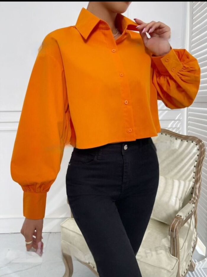 14c21fbf-50c5-42c7-a8d3-06b03ab6d7f8 Chemisier manches bouffantes – Image 1